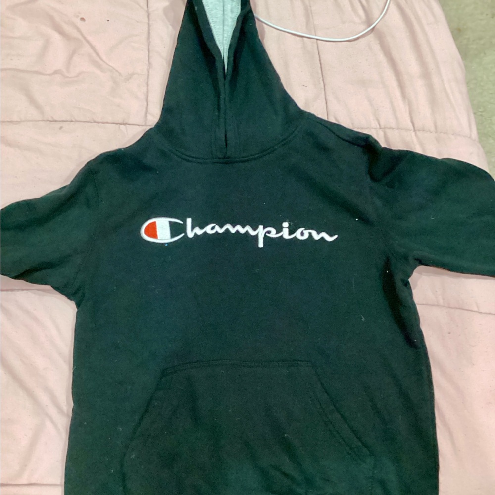 CHAMPION SWEATER